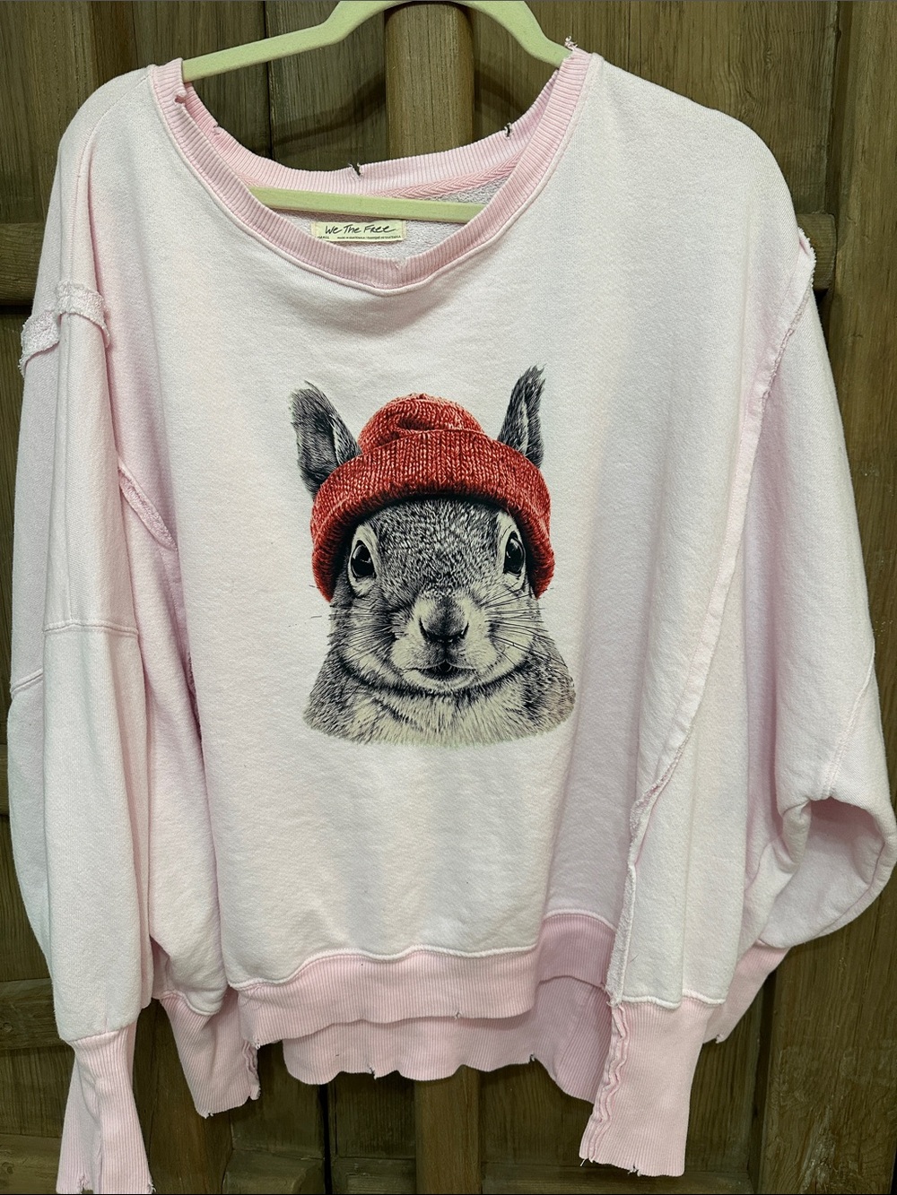 We The Free Light Pink Camden Sweatshirt with free people custom squirrel